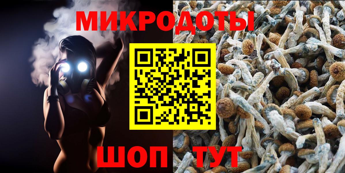 Кисловодск  Галлюциногенные грибы GOLDEN TEACHER  купить наркотик  Галлюциногенные грибы Magic Shrooms  Вход с VPN 