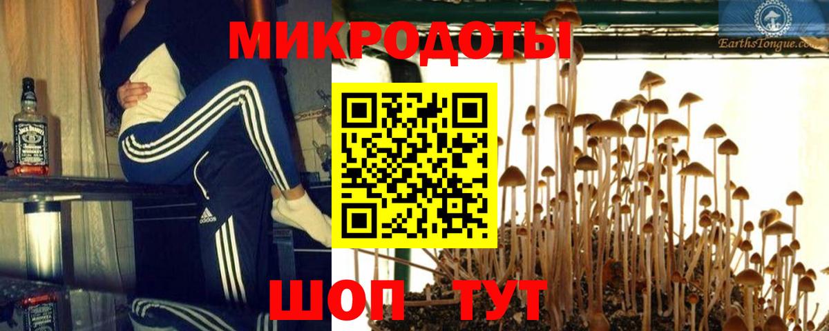 Галлюциногенные грибы MAGIC MUSHROOMS Кисловодск