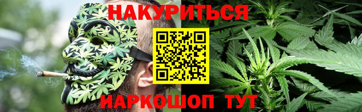 Конопля SATIVA & INDICA Кисловодск